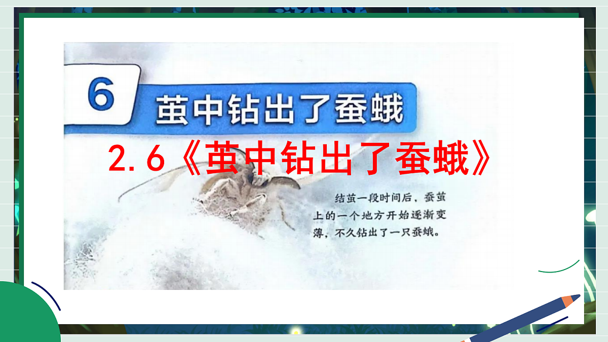 2.6《茧中钻出了蚕蛾》教学课件科学教科版三年级下册（新教材）第2页