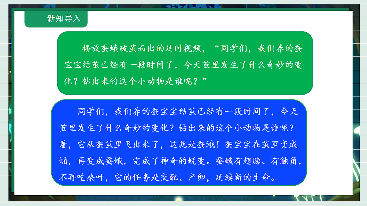 2.6《茧中钻出了蚕蛾》教学课件科学教科版三年级下册（新教材）第4页