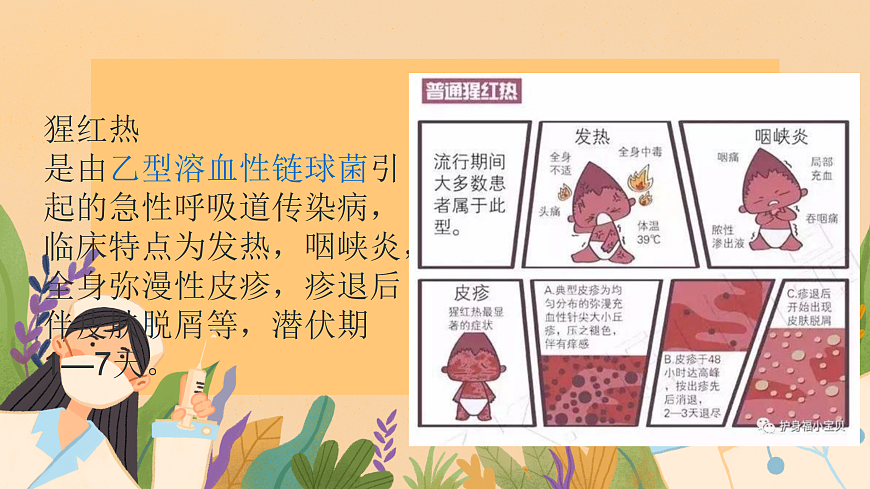18024437第8页