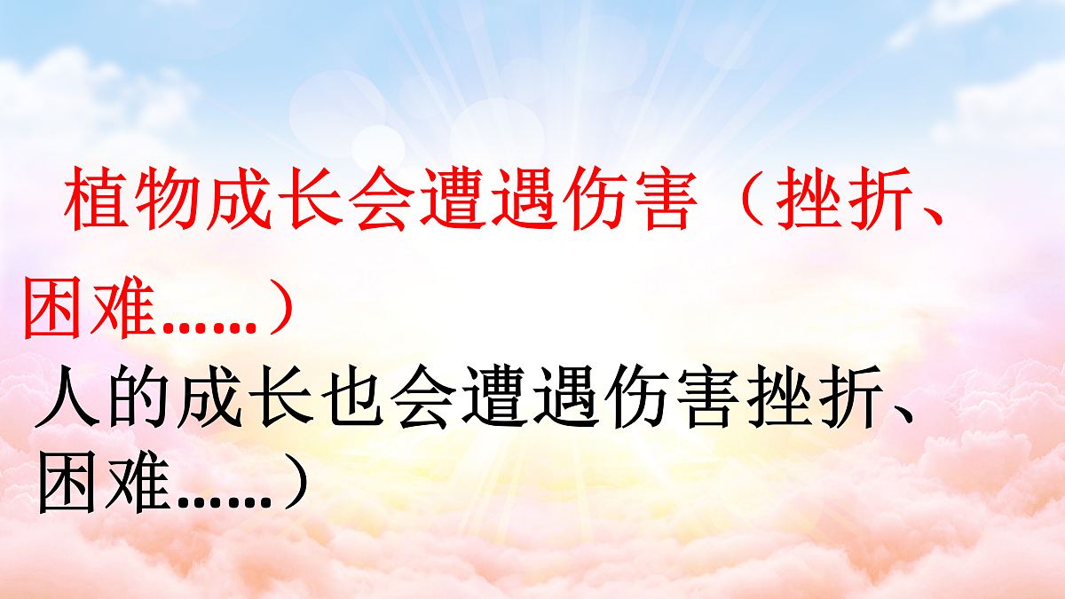 18024455第3页