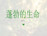 苏少版美术三年级下册8.1蓬勃的生命课件+教案