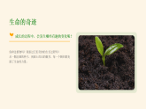 苏少版美术三年级下册8.1蓬勃的生命课件+教案