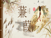 《蒹葭》课件 初中语文人教部编版（2024）八年级下册