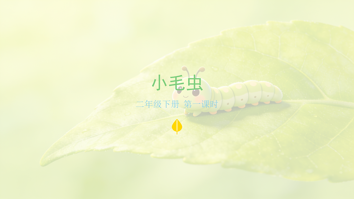 《小毛虫》第1课时第1页