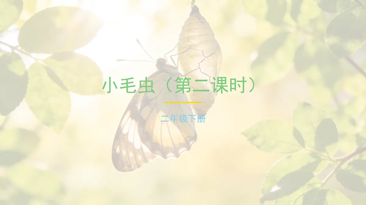 《小毛虫》第2课时（含课后习题）第1页