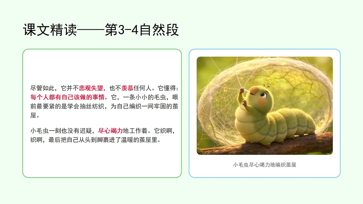 《小毛虫》第2课时（含课后习题）第3页