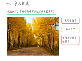 3 四季的天气 课件  小学科学教苏教版（2024）二年级下册