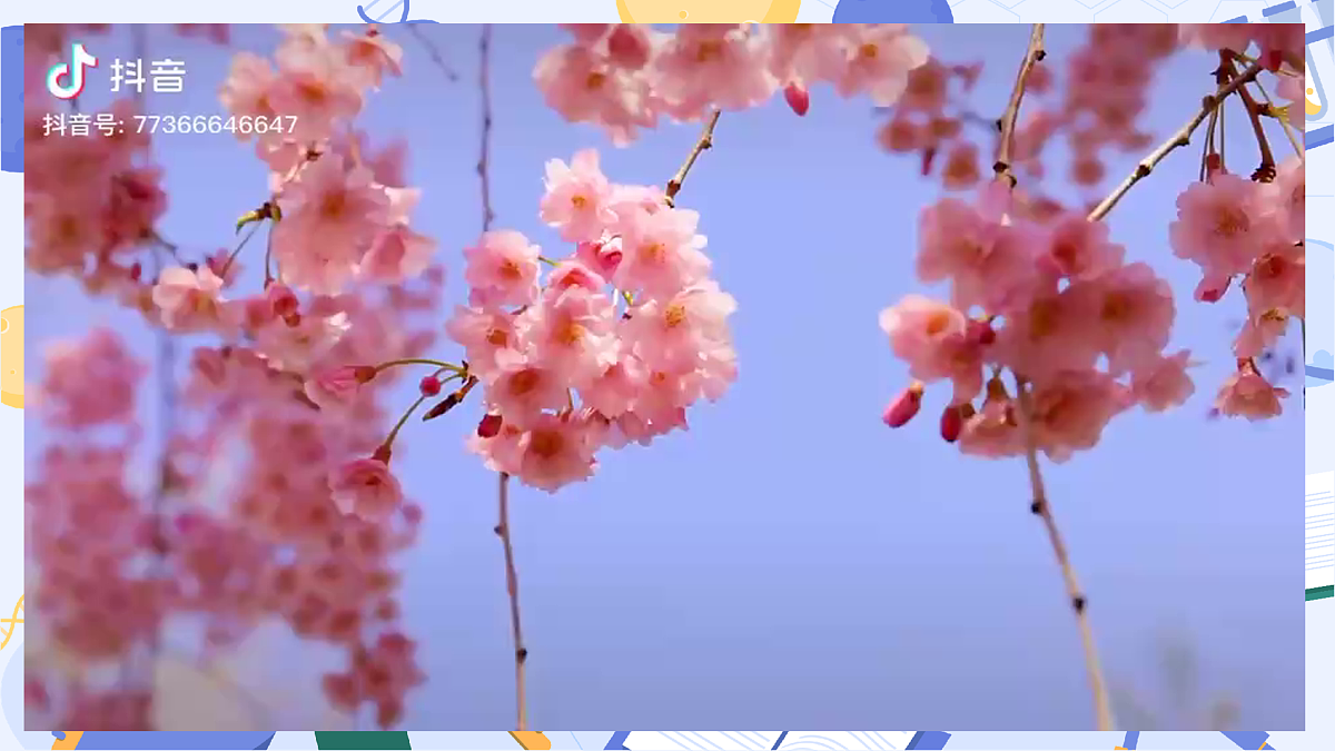 3.13 植物的花（教学课件）（AI增强）（新教材）第5页