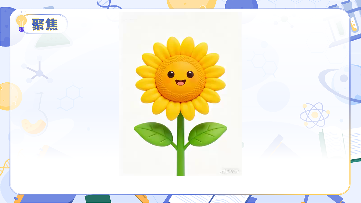 3.13 植物的花（教学课件）（AI增强）（新教材）第6页
