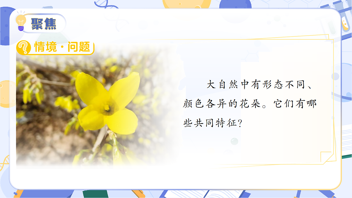 3.13 植物的花（教学课件）（AI增强）（新教材）第7页