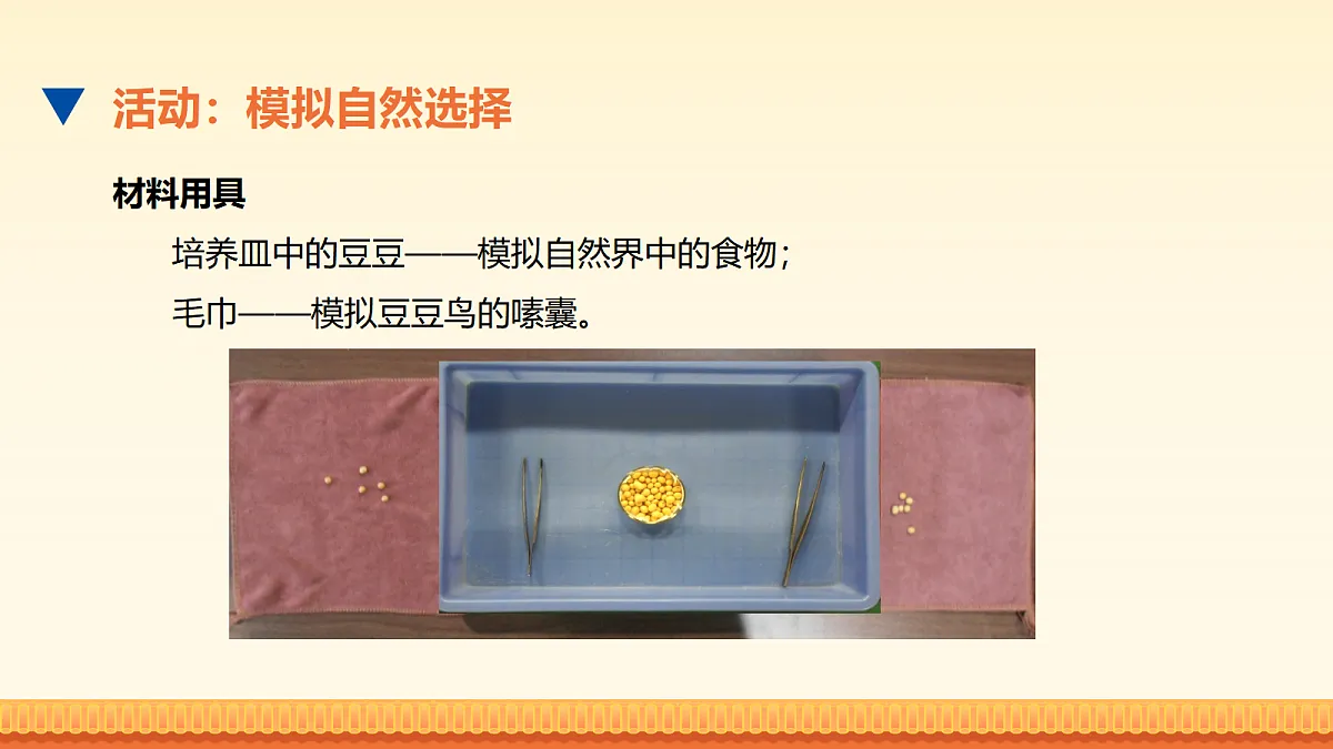 18026688第5页