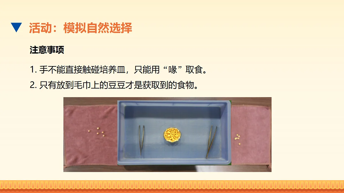 18026688第8页