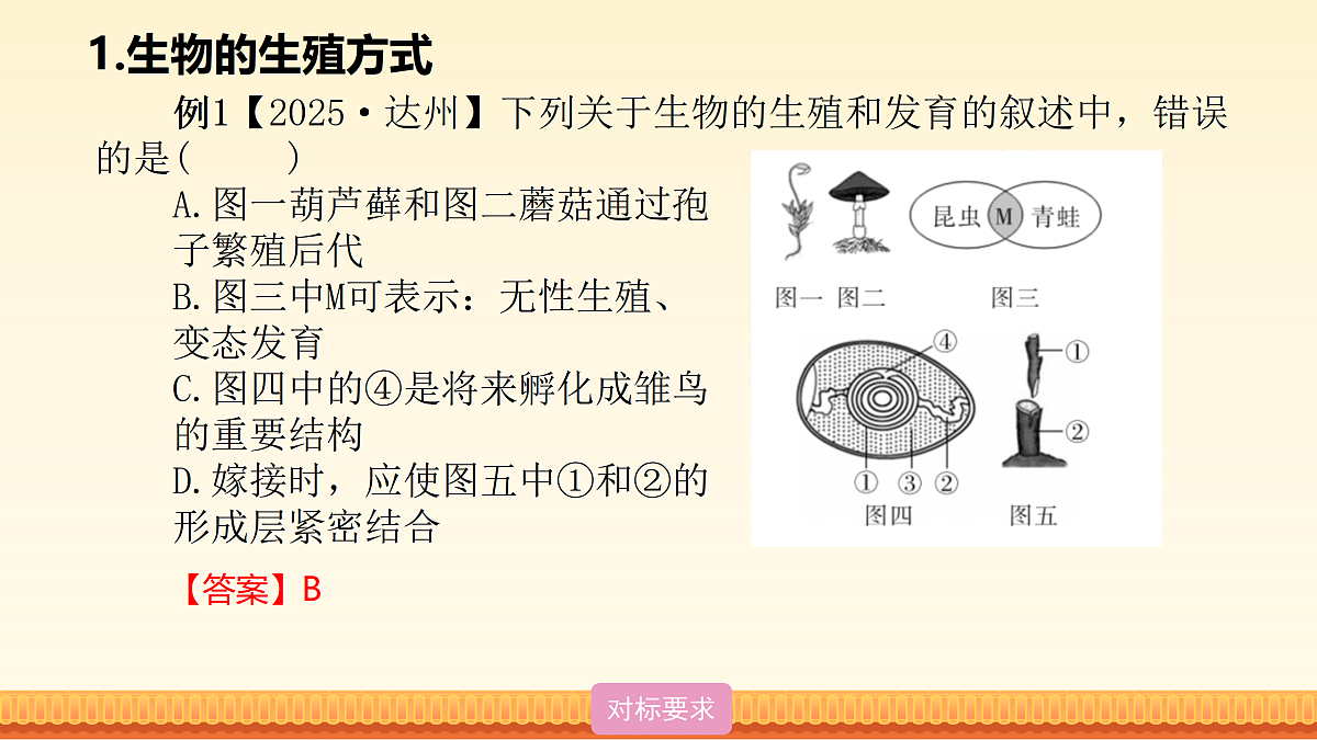 18026847第8页