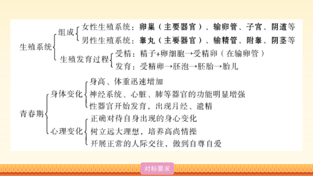 18026854第8页