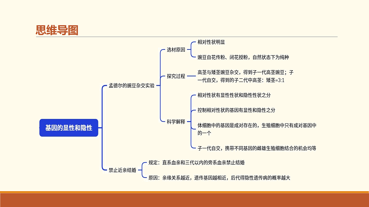 18027469第4页