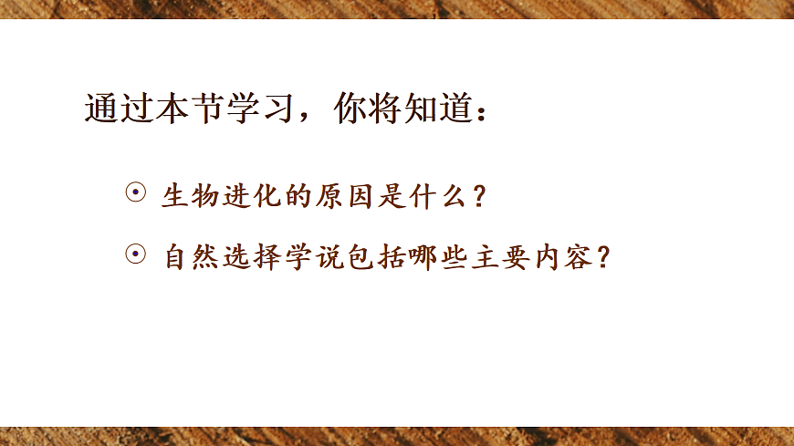 第三节 生物进化的原因第2页