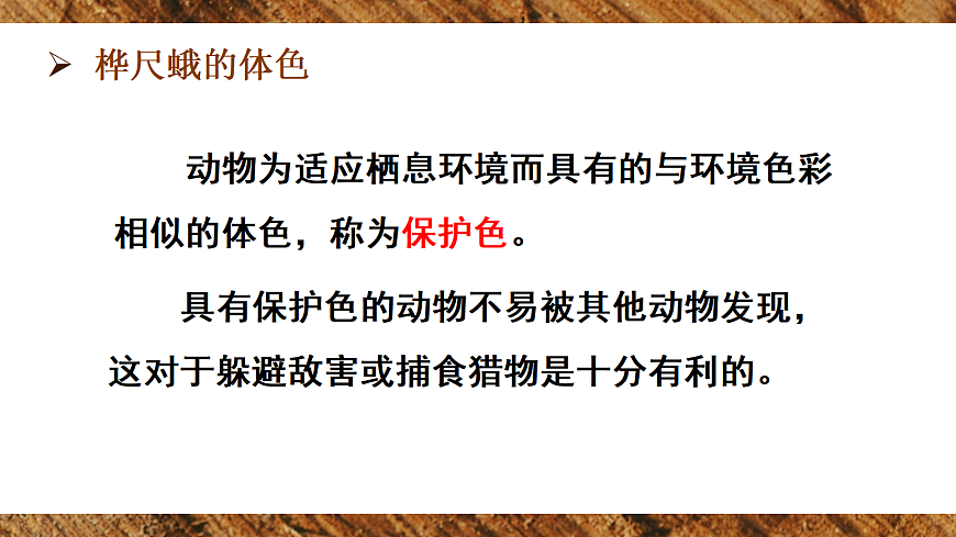 第三节 生物进化的原因第7页