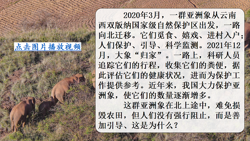 第一节 进化与生物多样性第1页