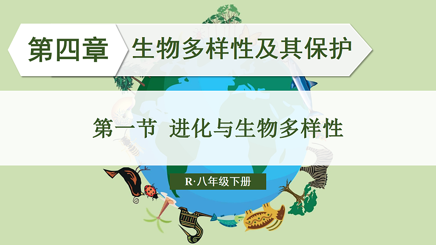 第一节 进化与生物多样性第2页