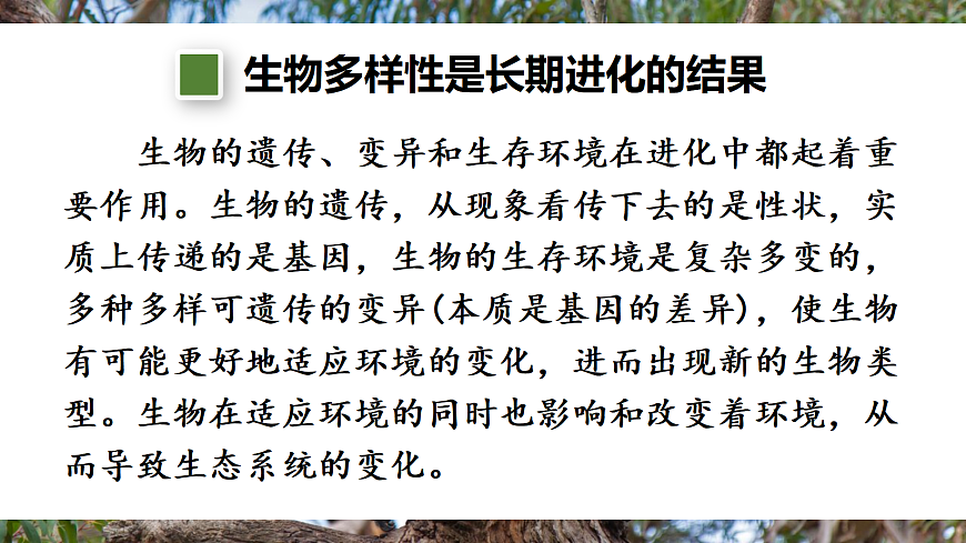 第一节 进化与生物多样性第7页