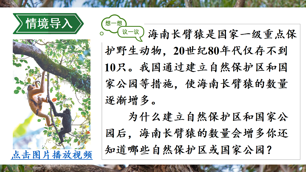 第二节 人与自然和谐共生第3页