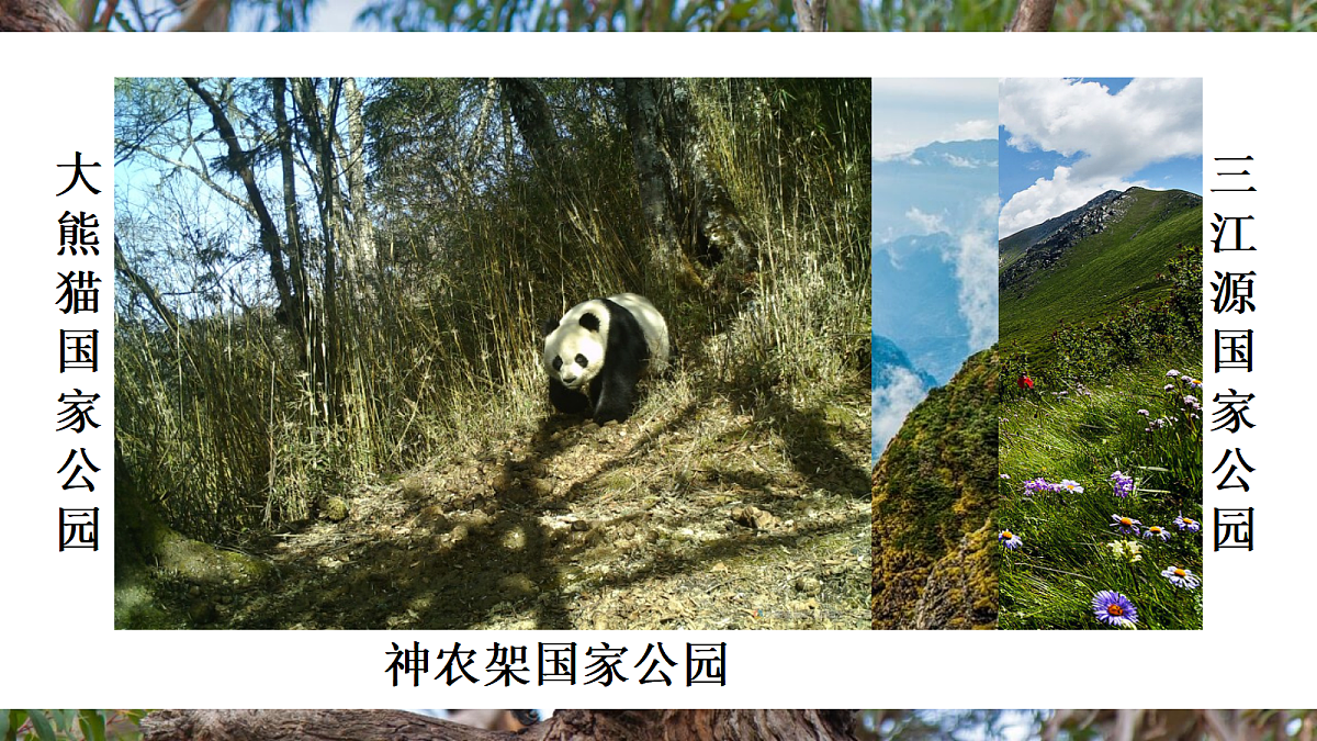 第二节 人与自然和谐共生第4页