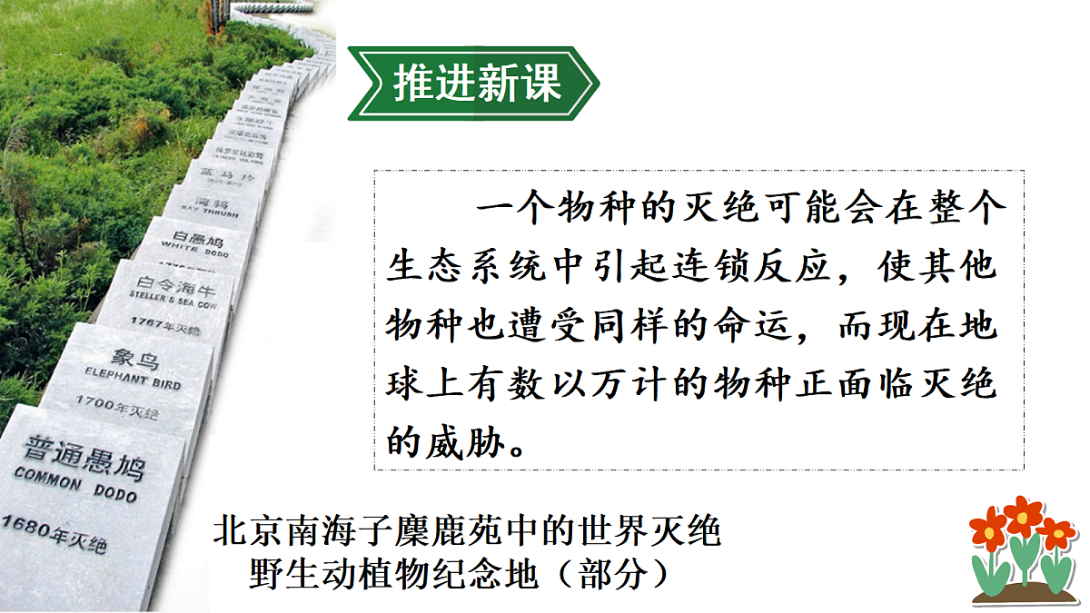 第二节 人与自然和谐共生第5页