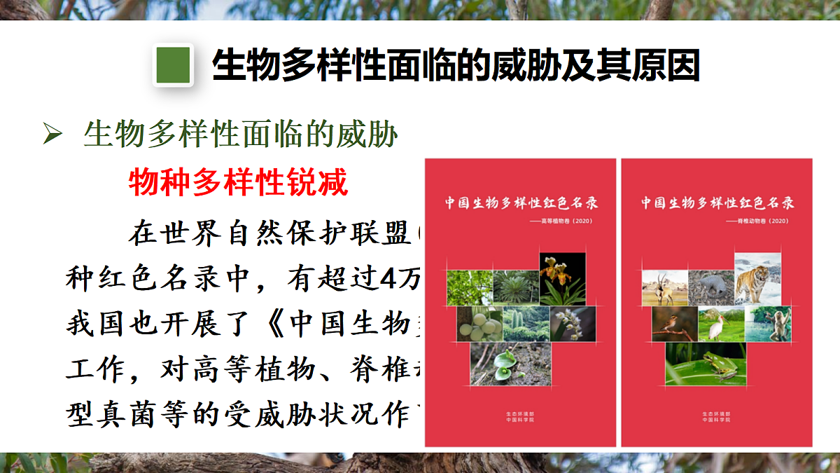 第二节 人与自然和谐共生第6页