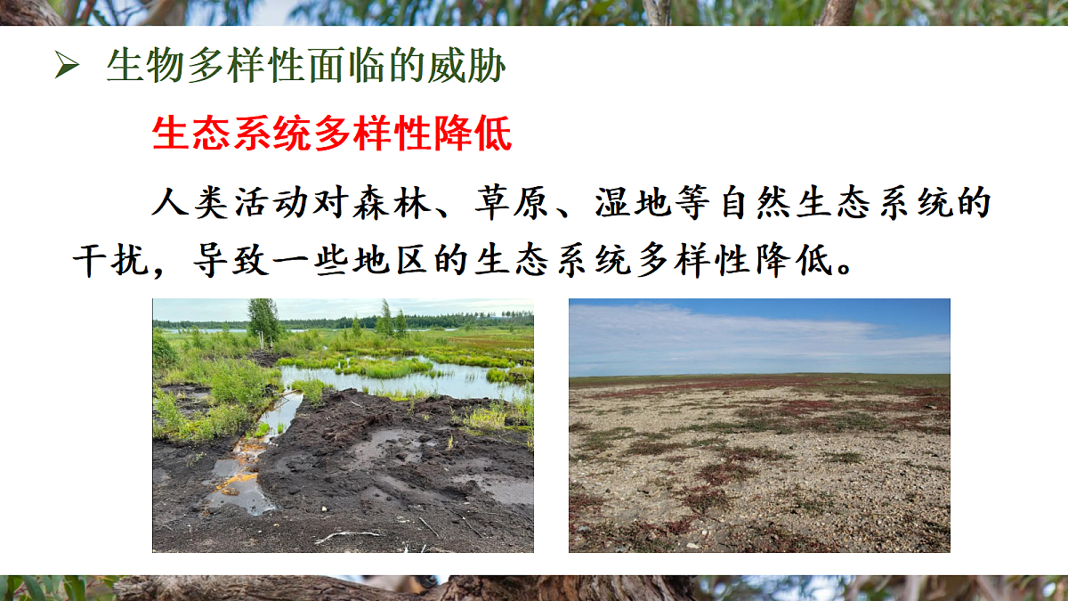 第二节 人与自然和谐共生第7页