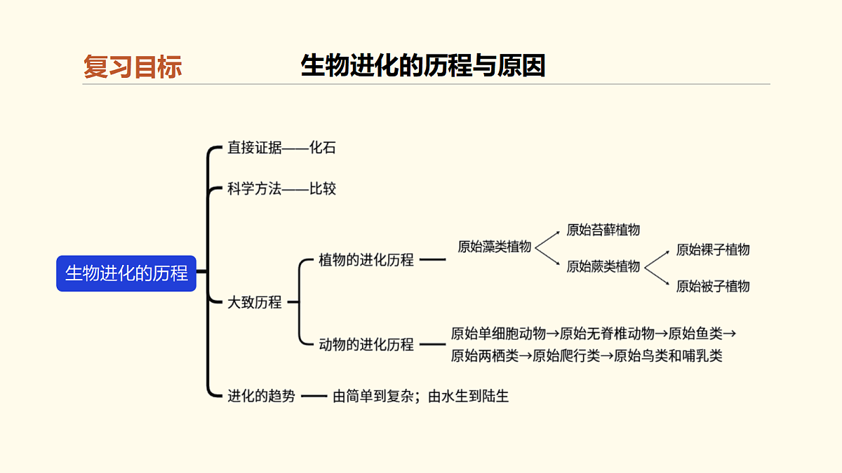 18028248第4页