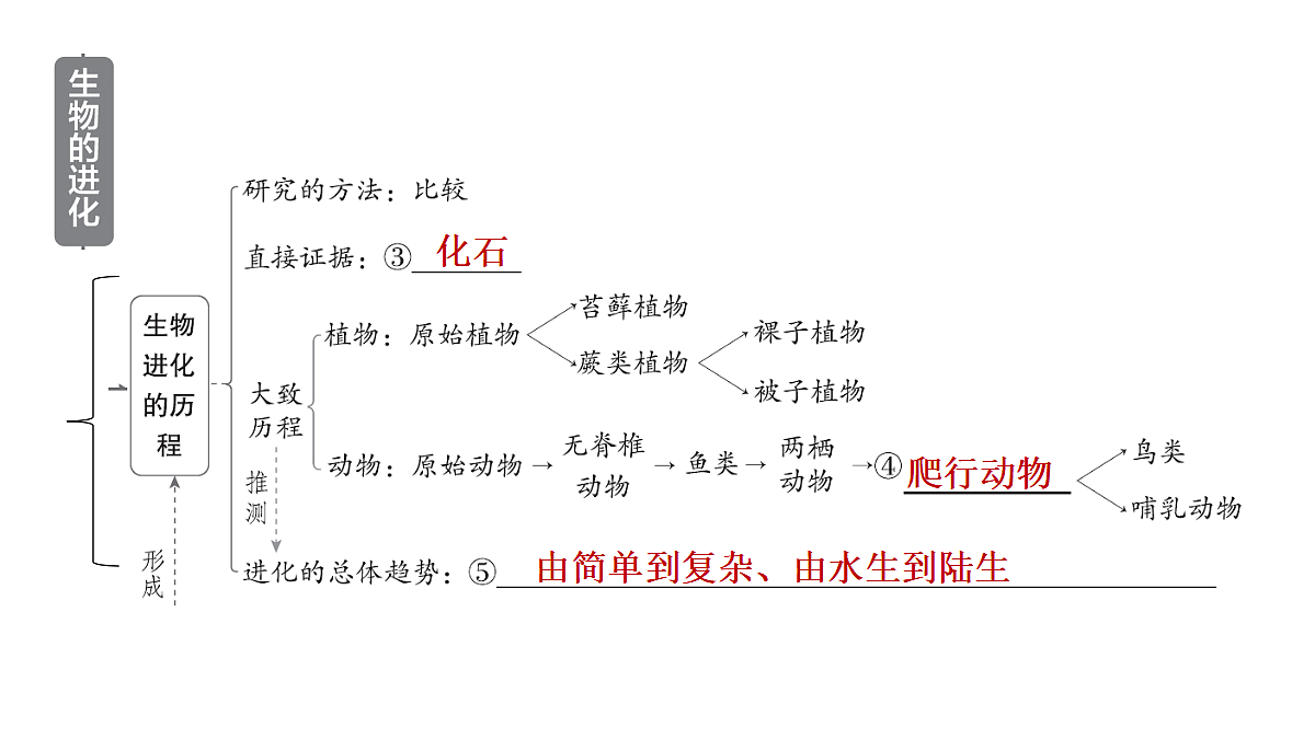 18028258第4页