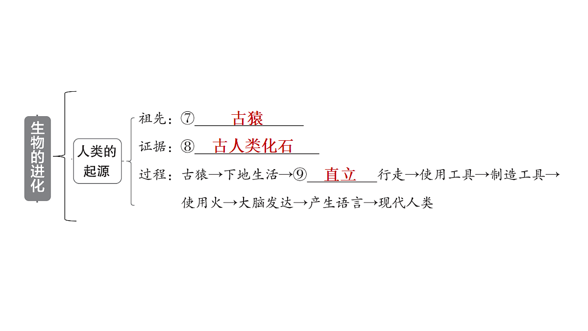 18028258第6页