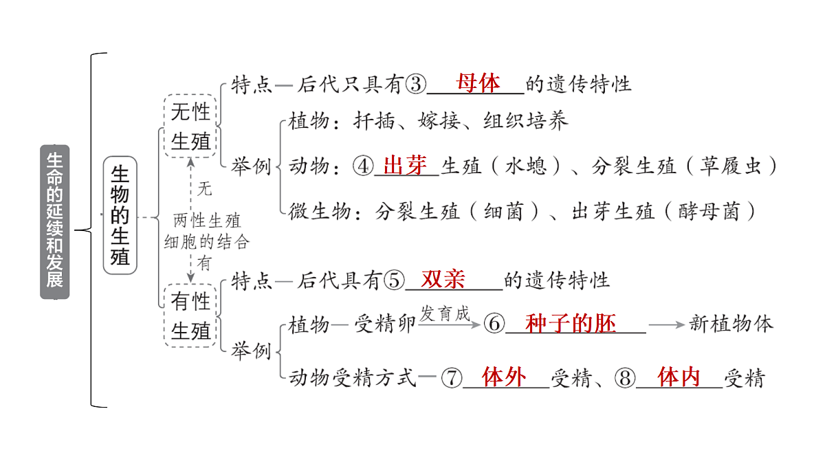 18028259第4页