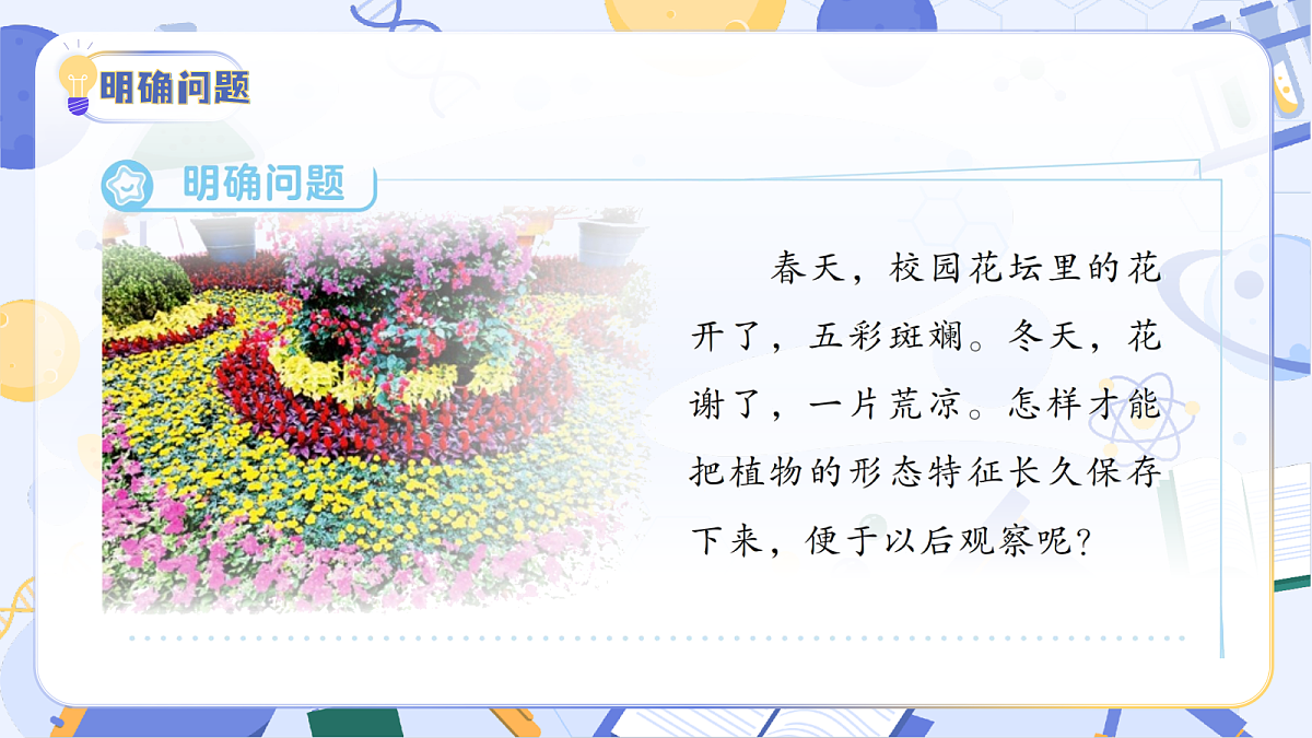 3.15 制作植物标本（教学课件）（新教材）第6页