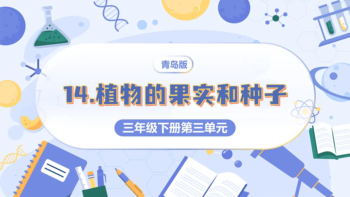 3.14 植物的果实和种子（教学课件）（新教材）第1页