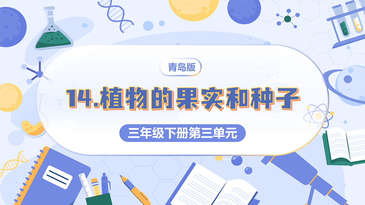 3.14 植物的果实和种子（教学课件）（新教材）第1页
