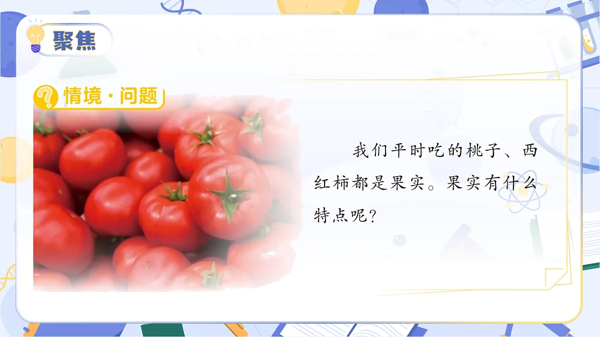 3.14 植物的果实和种子（教学课件）（新教材）第7页