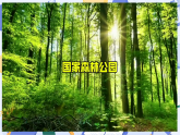 2026年青岛版（六三制）(2024)三年级科学下册3.12 植物的叶（课件+素材）