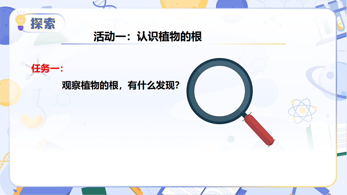 3.10 植物的根（教学课件）（新教材）第7页