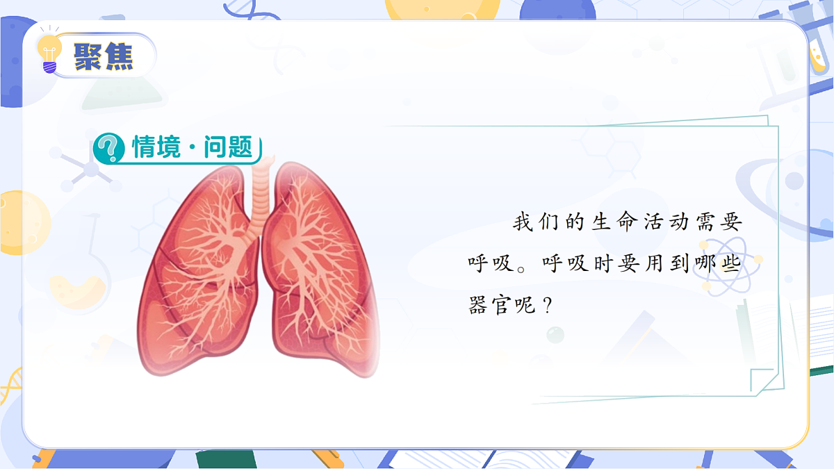 1.3 我们的呼吸器官（教学课件）（新教材）第7页