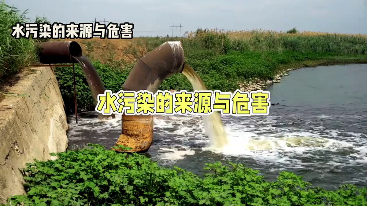 1.8《身边的物体与保护水资源》教学课件第7页