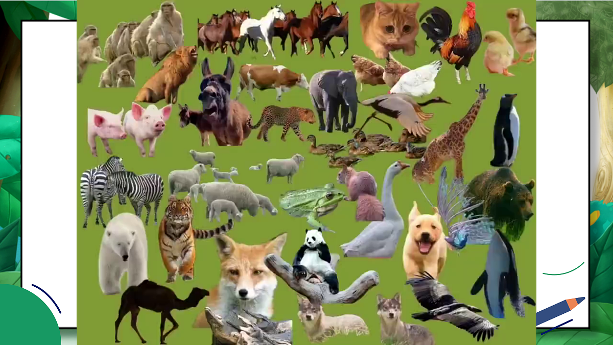 2.6《物联欢会》教学课件第3页