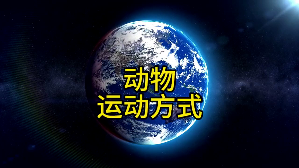 2.6《物联欢会》教学课件第7页