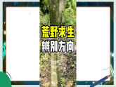 1.2《利用自然物精准辨别方向》教学课件科学教科版三年级下册（新教材）+教案+视频素材