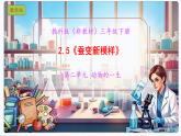 2.5《蚕变新模样》教学课件科学教科版三年级下册（新教材）+教案+视频素材