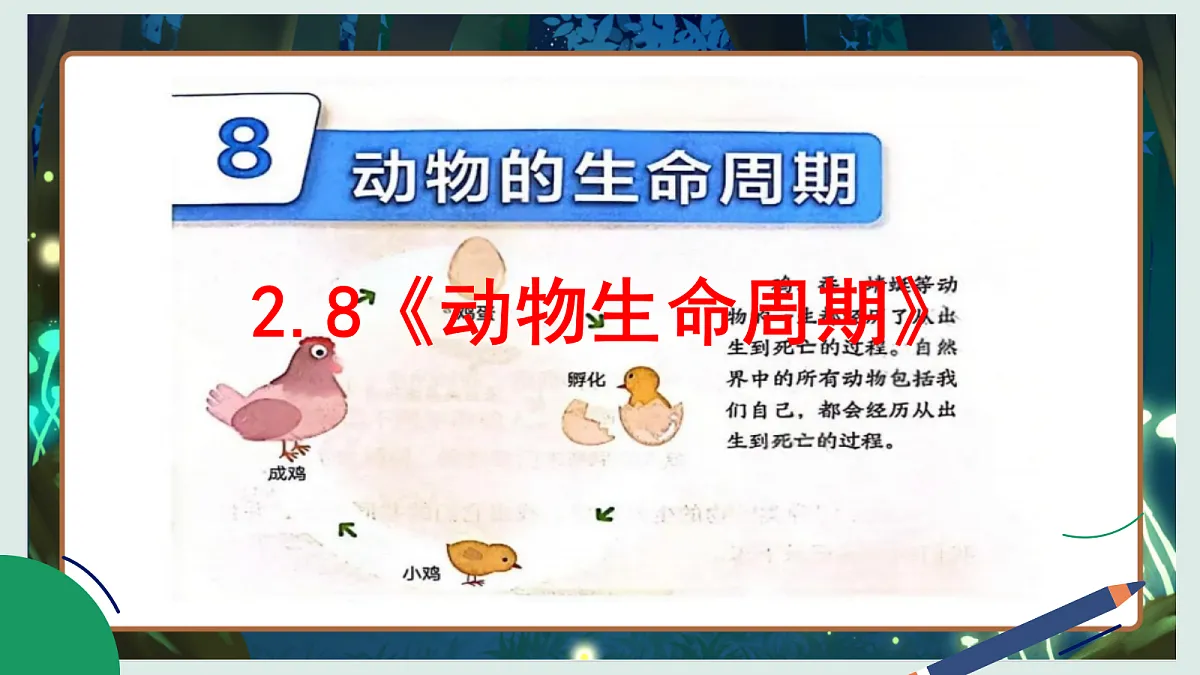 2.8《动物生命周期》教学课件科学教科版三年级下册（新教材）第2页
