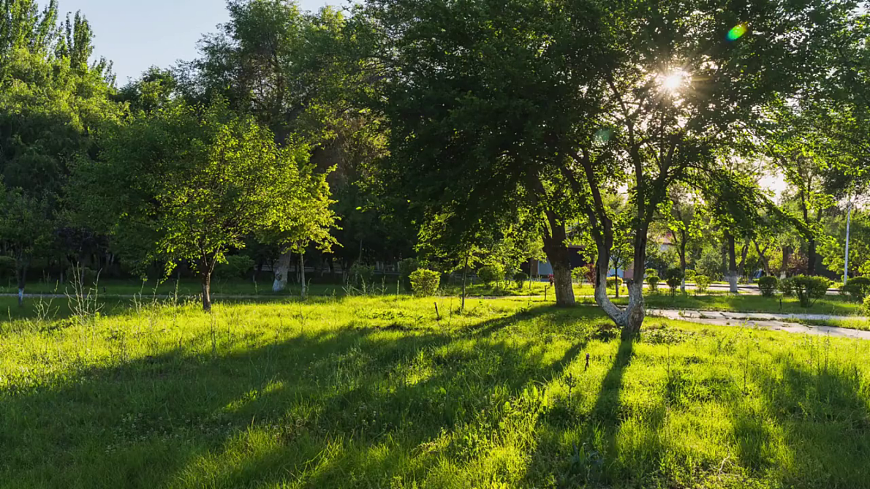 3.6《一天中影子变化》教学课件科学教科版三年级下册（新教材）第3页