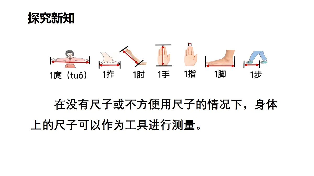 18029126第3页