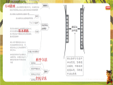 第五单元 建设法治中国【章末复习】（课件）--2025-2026学年统编版新教材道德与法治八年级下册