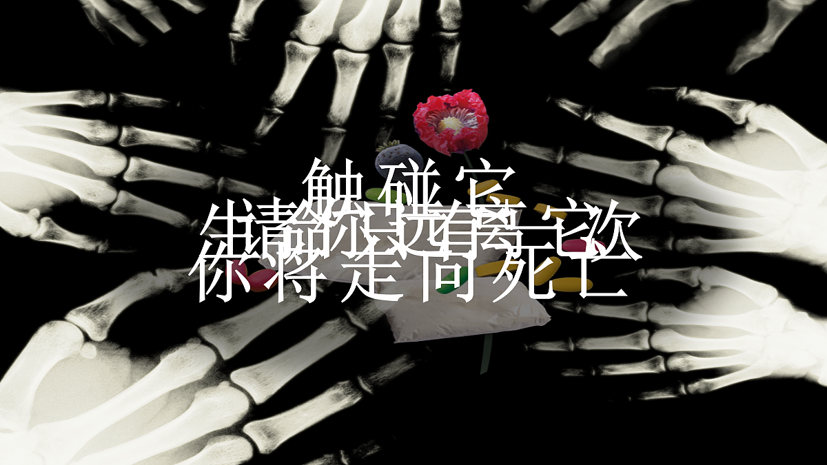 18029575第2页